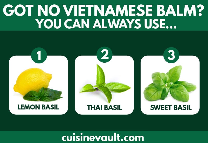 Vietnamese balm substitute infographic