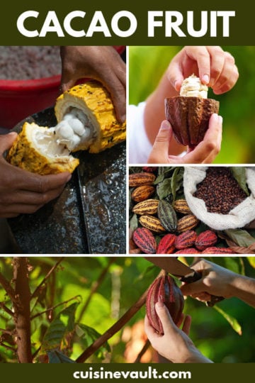 What Does A Cacao Fruit Taste Like?