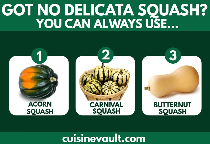 Delicata squash substitutes infographic