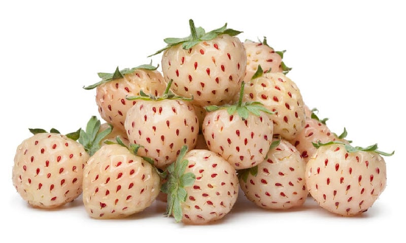 what-is-a-pineberry-and-can-i-grow-it-in-the-home-garden