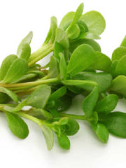 9 Best Substitutes For Purslane In Cooking
