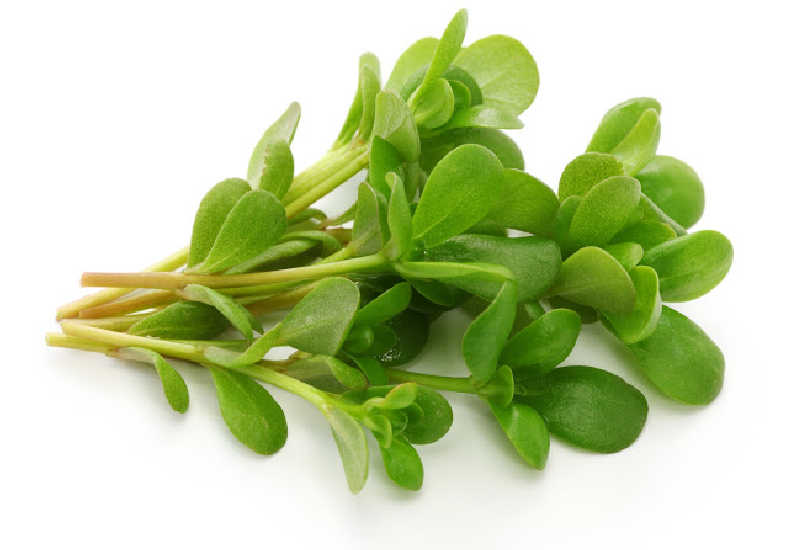 9 Best Substitutes For Purslane In Cooking