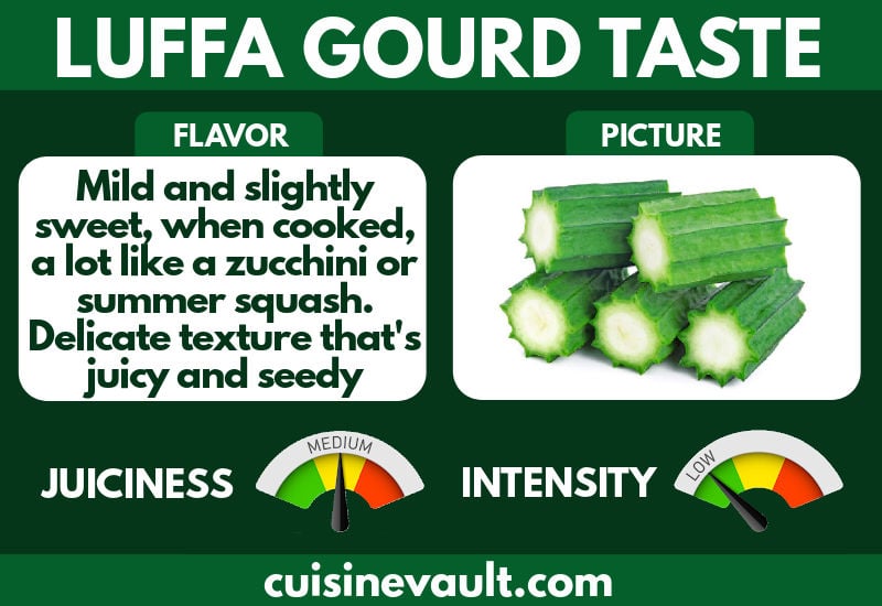 Luffa taste infographic