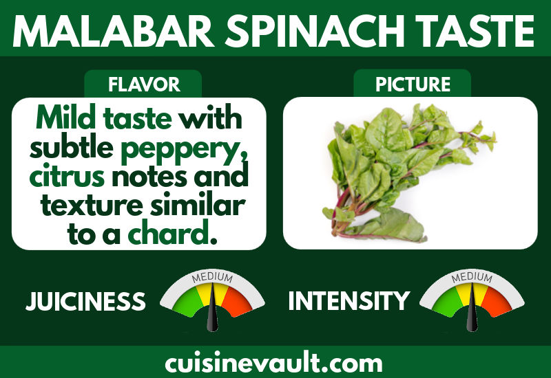 Malabar spinach taste infographic
