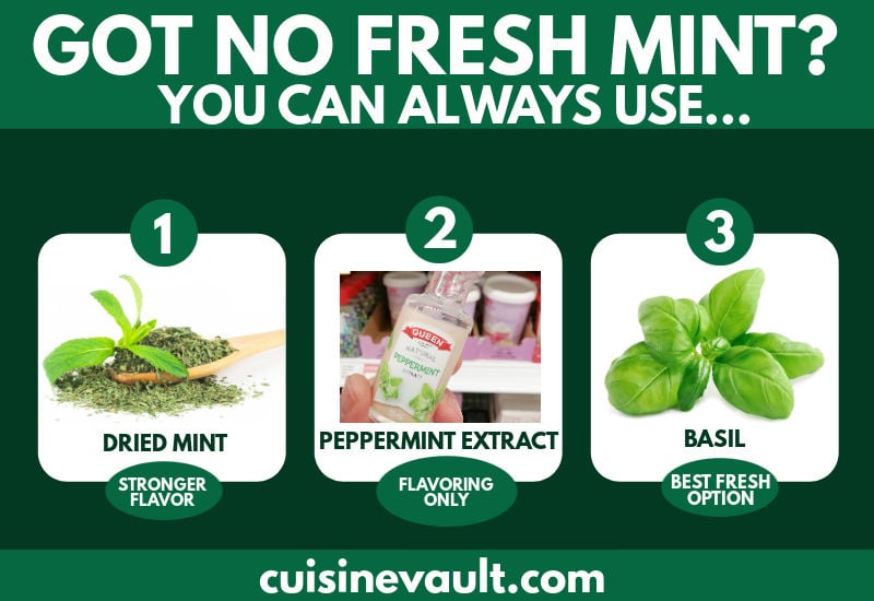 Mint substitutes infographic