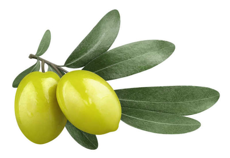 Top 5 Olive Substitutes For Any Recipe