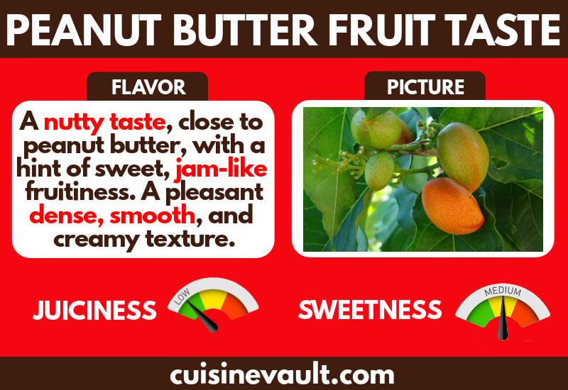 Peanut butter fruit taste infographic