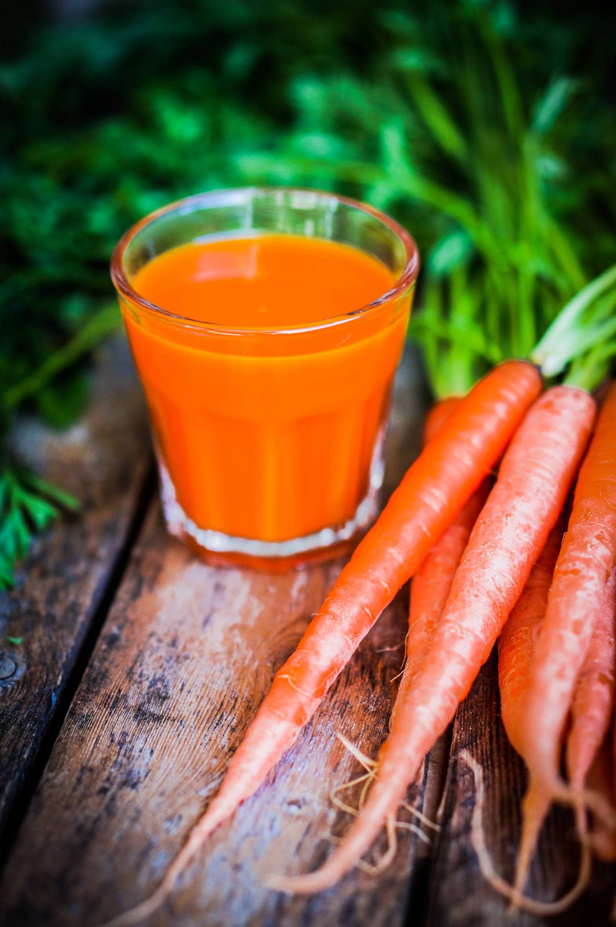 Carrot Juice