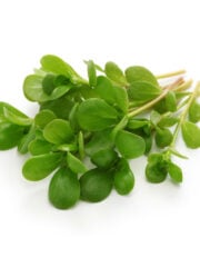 9 Best Substitutes For Purslane In Cooking