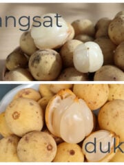 Langsat vs. Duku: What's The Difference?
