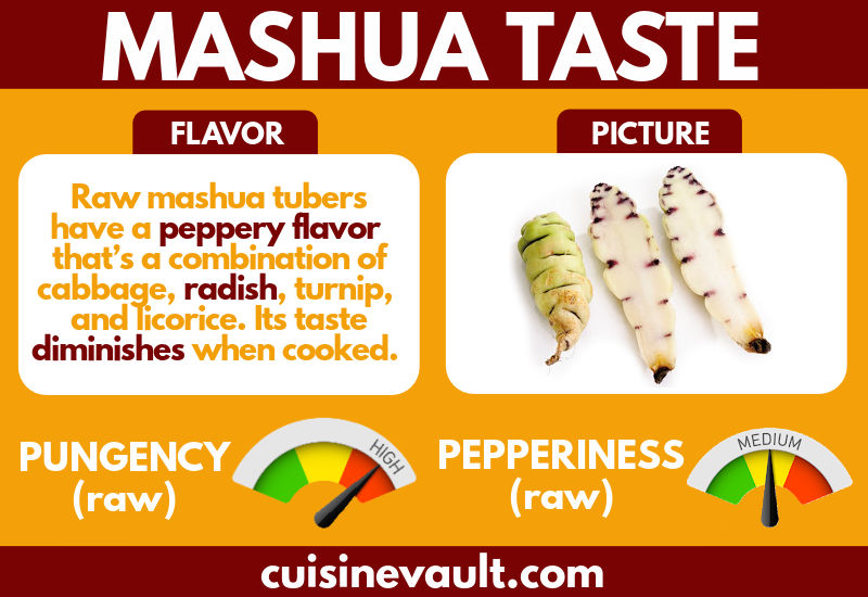 Mashua taste infographic