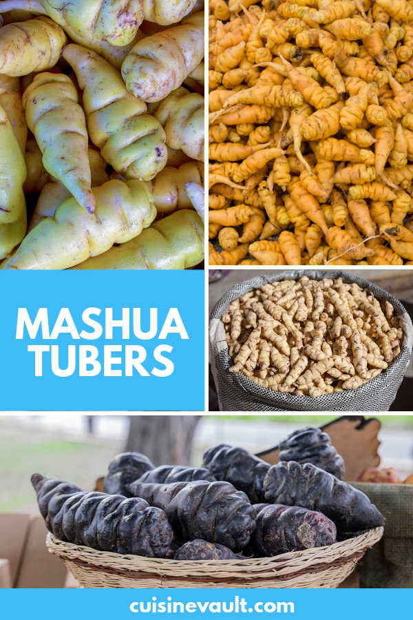 Different types of mashua tubers