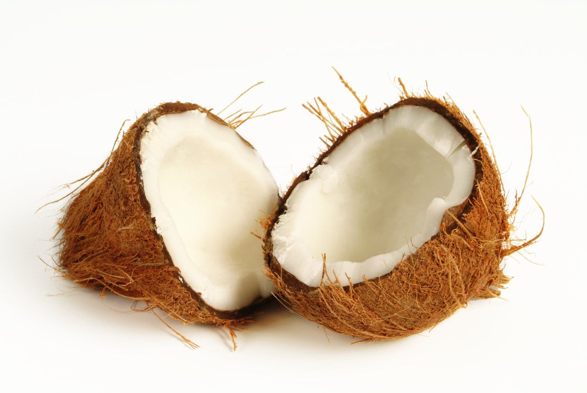 Coconut