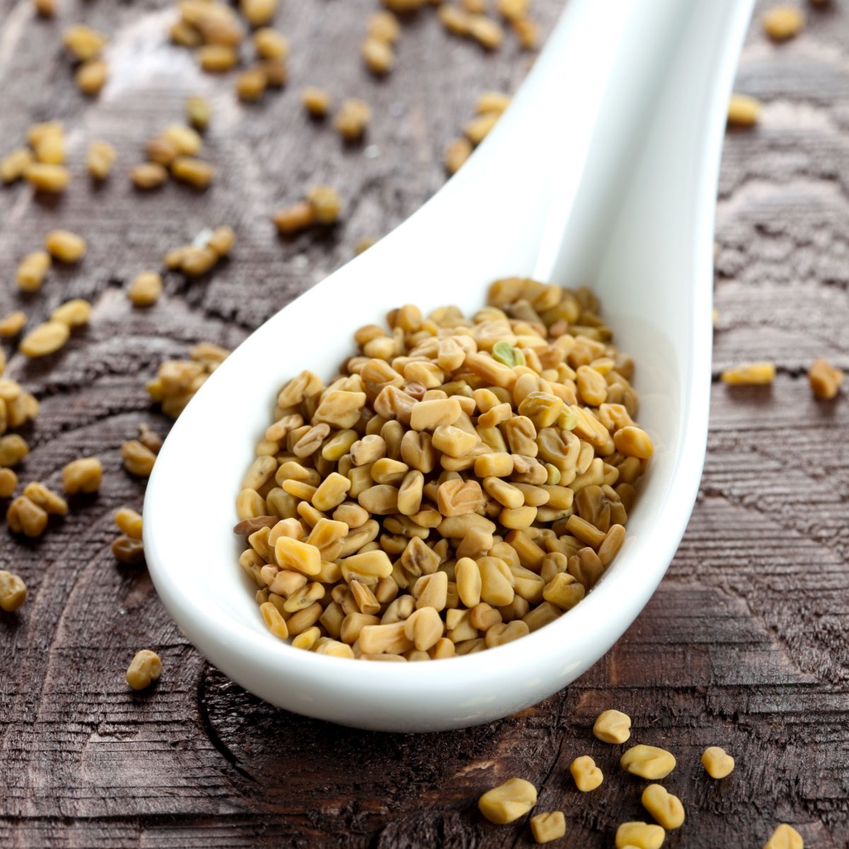 Fenugreek Substitutes The 7 Best Options
