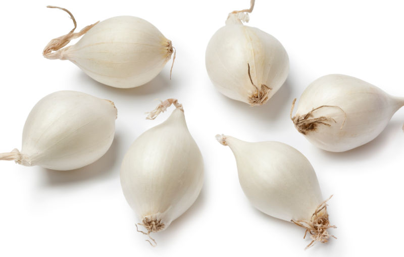 Fresh pearl onions on a white background