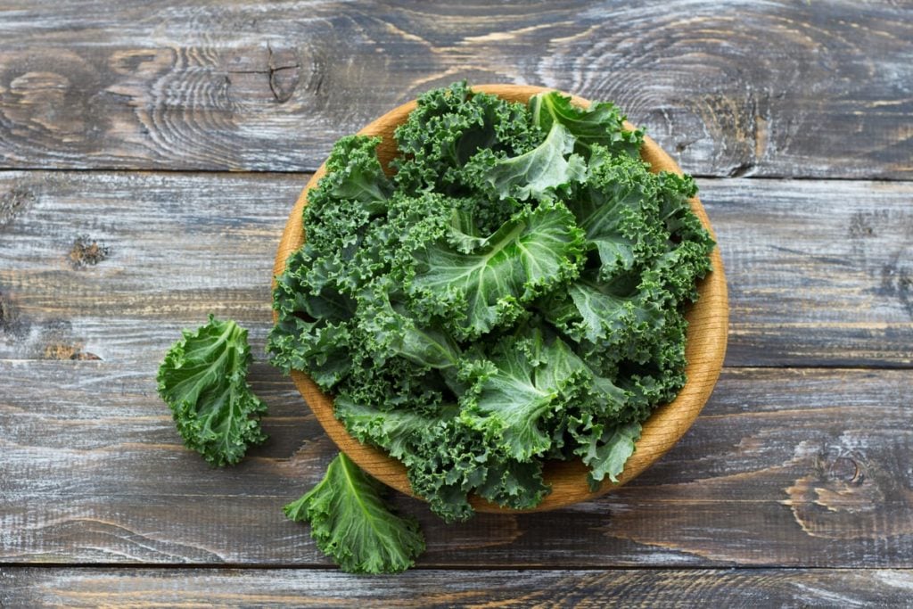 Everything You Need To Know About Kale, The Nutritious Leafy Green ...