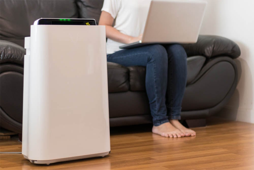10 Best Air Purifier and Humidifier Combo