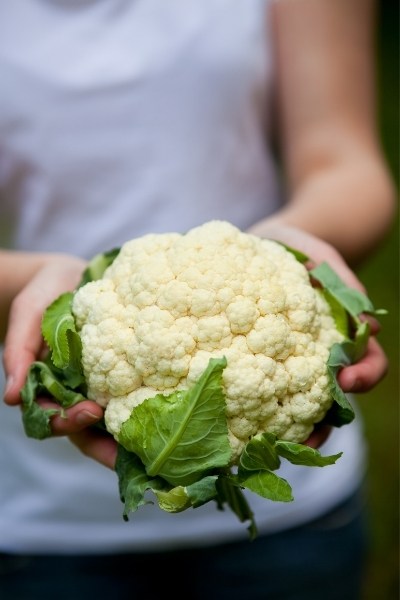 Cauliflower comes from the Italian word cavolfiore