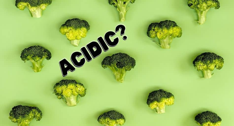 Is Broccoli Acidic