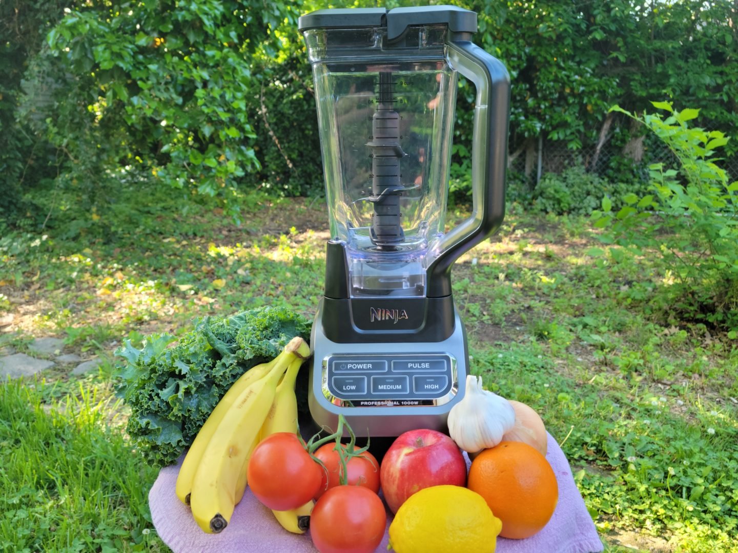 Ninja Professional Blender 1000 Review 