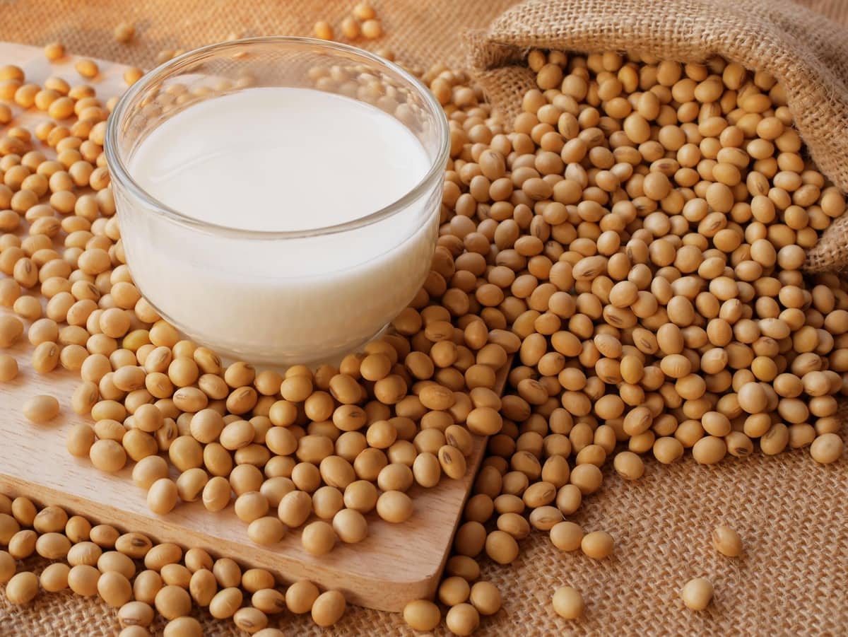 Soy milk nutrition