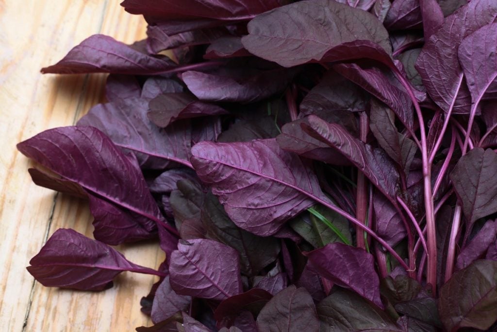 Spinach type-red spinach