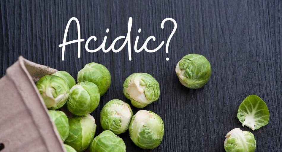 Are Brussel Sprouts Acidic?