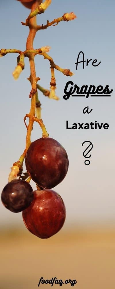Are Grapes A Laxative Pin