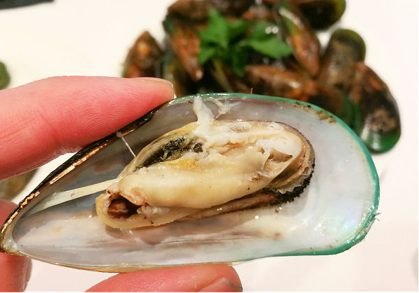 Cooked mussel in its shell