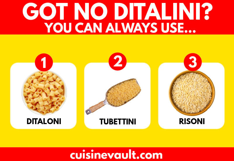 Ditalini Substitutes Infographic