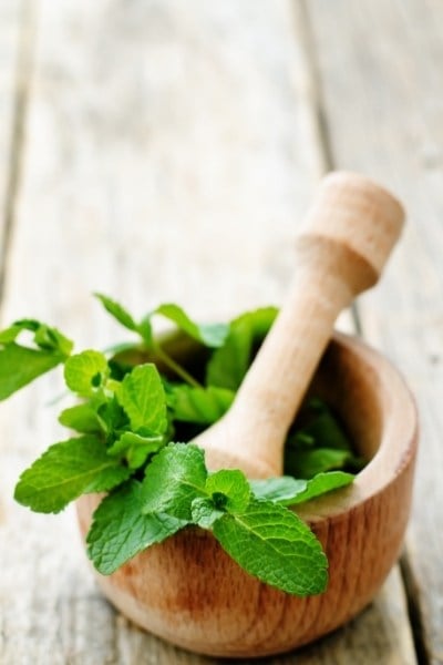 What Is A Sprig Of Mint?