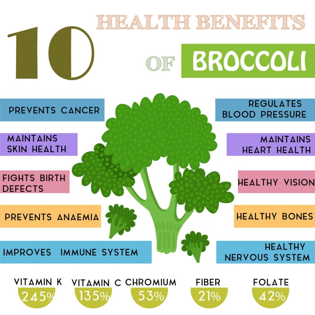 Broccoli 101: Everything You Need To Know About This Superfood ...