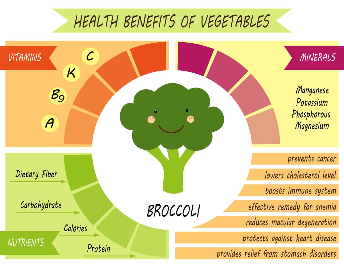 broccoli nutrition