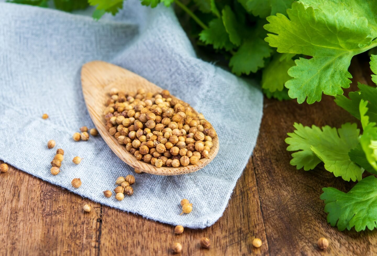 Composition,Image,Close,Up,Dry,Coriander,Or,Cilantro,Seeds,Spice