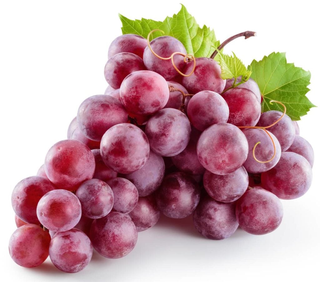 Grapes and Fresh Grape Juice