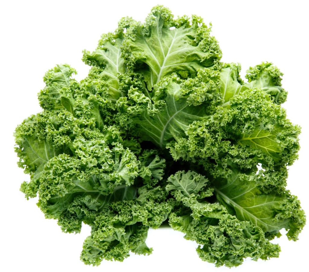 Top 8 Vegetables That Cause Bloating and Gas Tastylicious