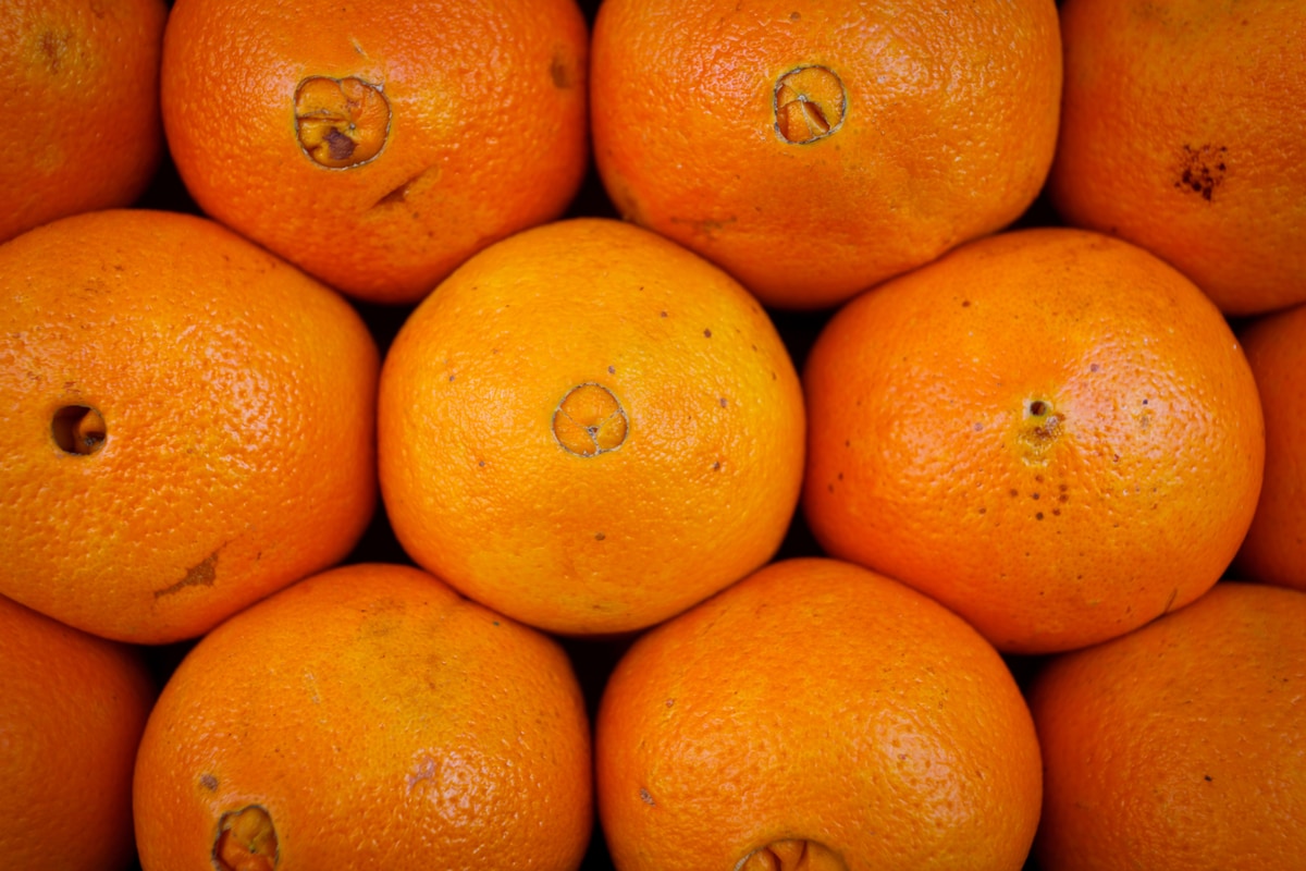 Navel oranges