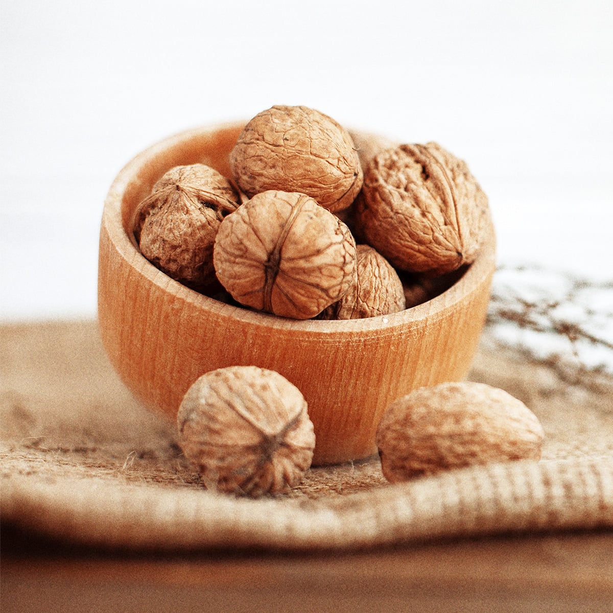 Are Walnuts Acidic? Tastylicious