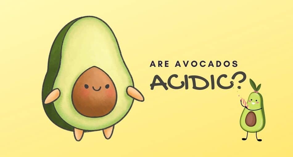 Are Avocados Acidic?