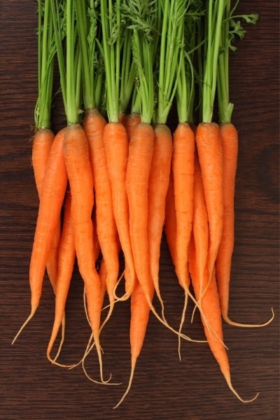 Are Carrots High In Potassium?