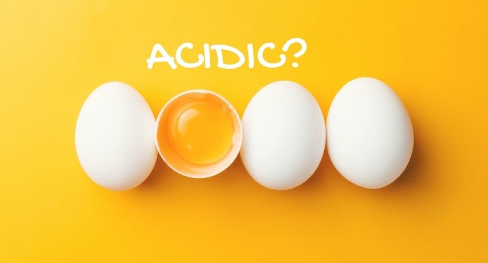 Are Eggs Acidic