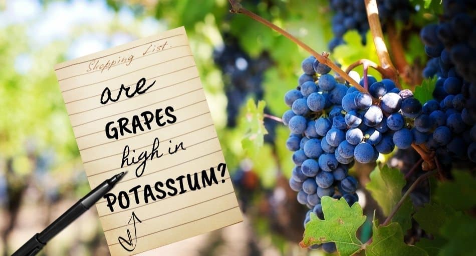 Are Grapes High In Potassium?