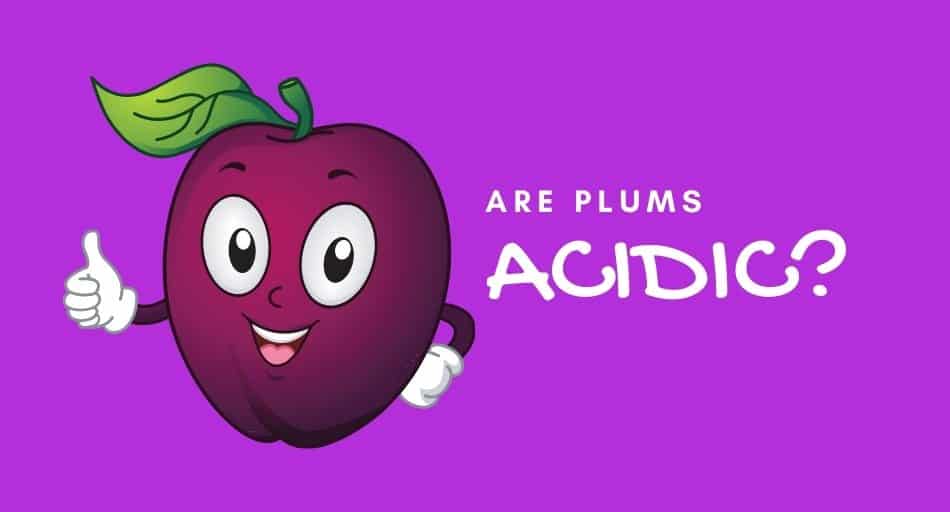 Are Plums and Dried Plums Acidic?