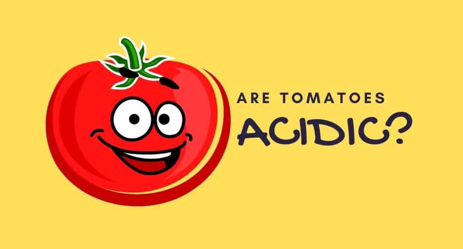 Are Tomatoes Acidic?