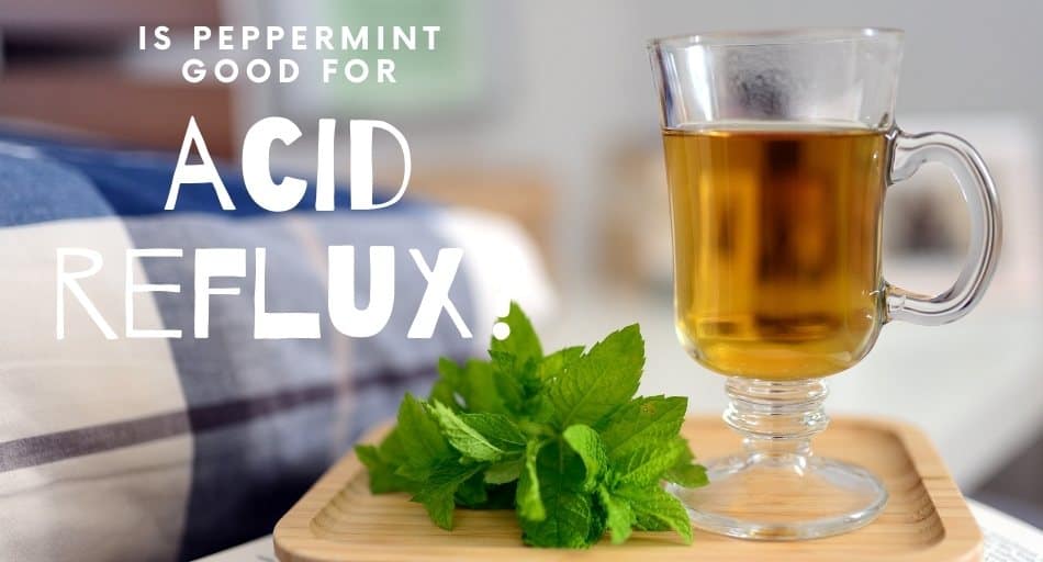 Is Peppermint Good For Acid Reflux