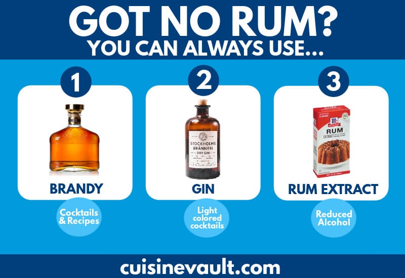 Substitutes for Rum Infographic
