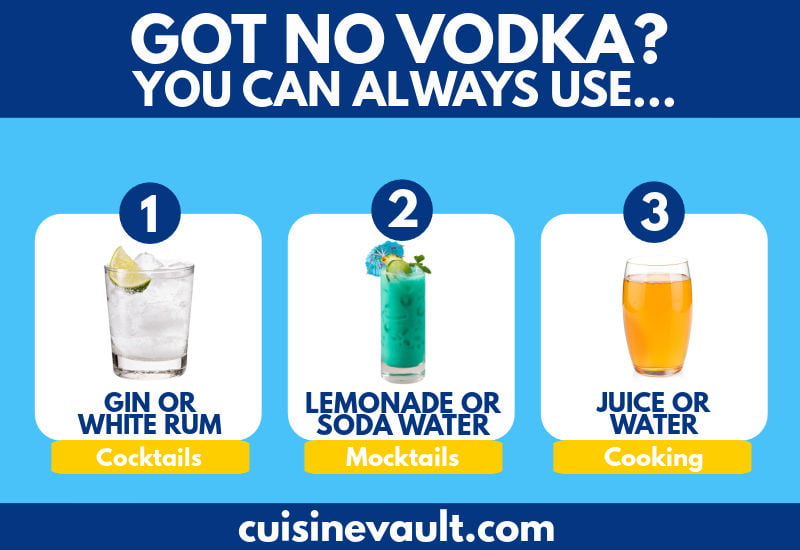 Substitutes for Vodka Infographic