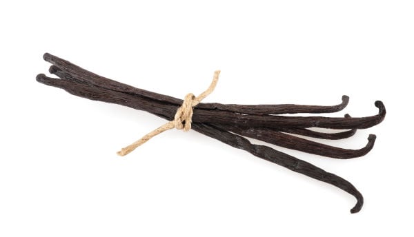 Vanilla bean pods tied in a bundle