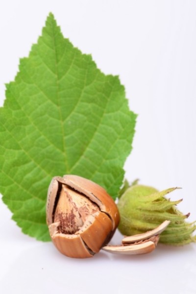 Will Eating Hazelnuts Cause Heartburn?