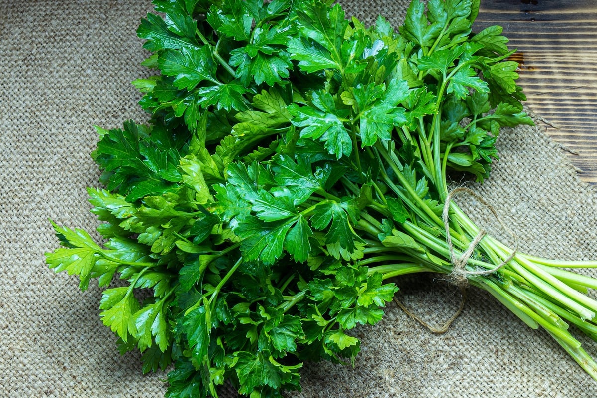 Parsley